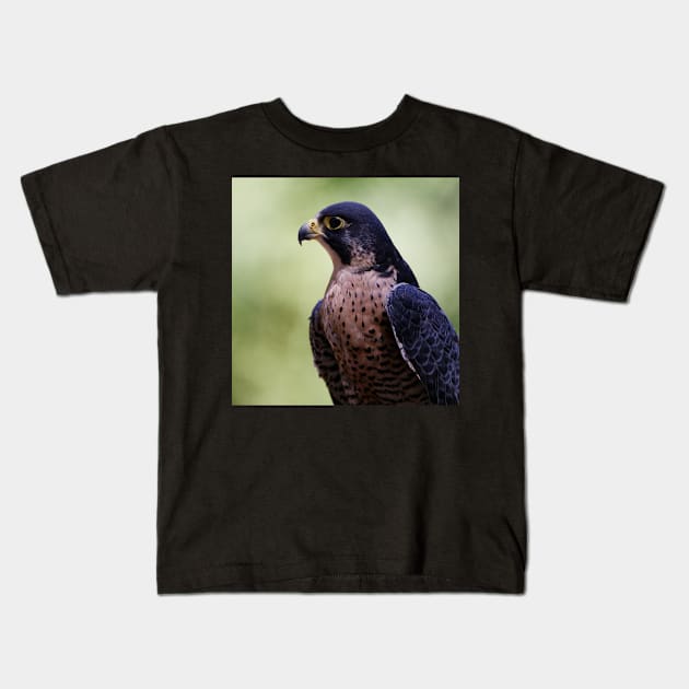 Peregrine Falcon Kids T-Shirt by SHWILDLIFE